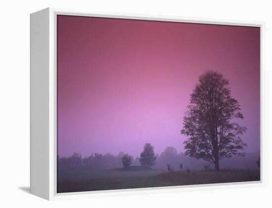 Evening Fields-PhotoINC-Framed Premier Image Canvas