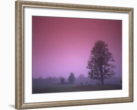 Evening Fields-PhotoINC-Framed Photographic Print