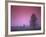 Evening Fields-PhotoINC-Framed Photographic Print