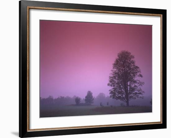 Evening Fields-PhotoINC-Framed Photographic Print