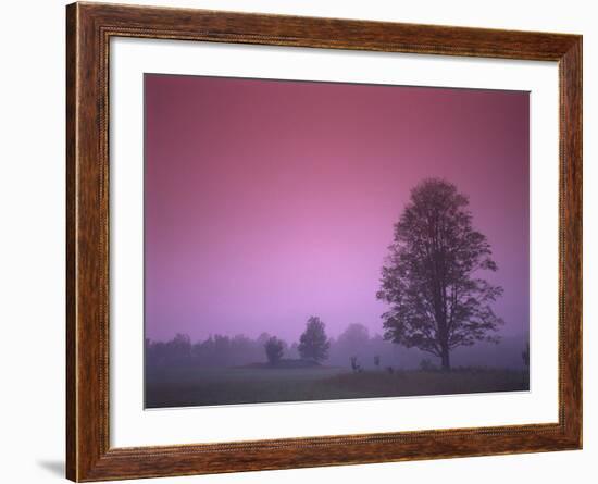 Evening Fields-PhotoINC-Framed Photographic Print