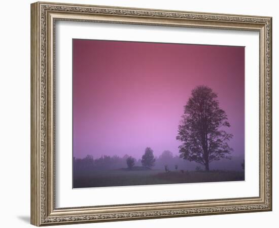 Evening Fields-PhotoINC-Framed Photographic Print