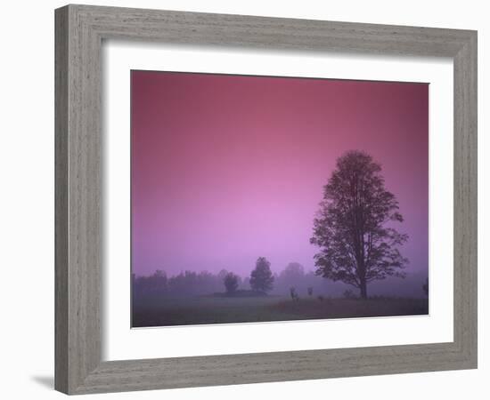 Evening Fields-PhotoINC-Framed Photographic Print