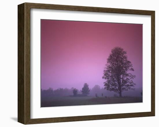 Evening Fields-PhotoINC-Framed Photographic Print