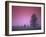 Evening Fields-PhotoINC-Framed Photographic Print