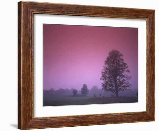 Evening Fields-PhotoINC-Framed Photographic Print