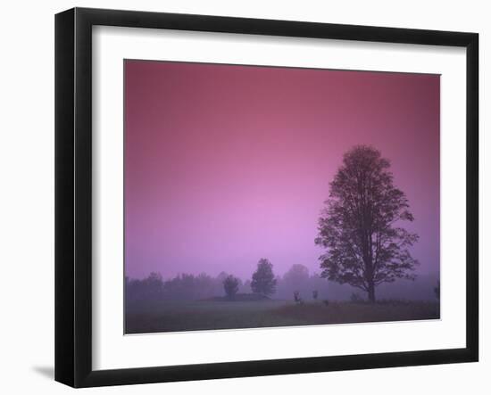 Evening Fields-PhotoINC-Framed Photographic Print