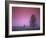 Evening Fields-PhotoINC-Framed Photographic Print