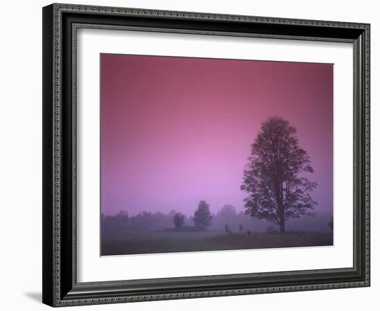 Evening Fields-PhotoINC-Framed Photographic Print