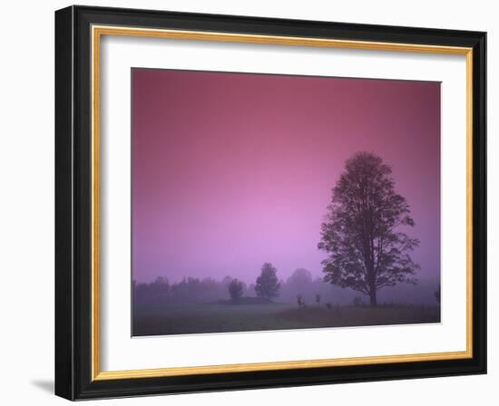 Evening Fields-PhotoINC-Framed Photographic Print