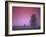 Evening Fields-PhotoINC-Framed Photographic Print