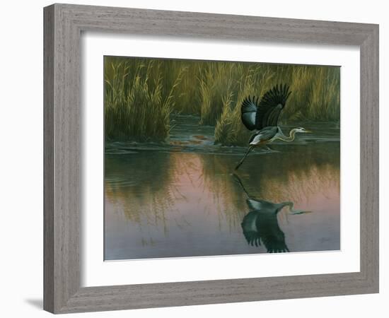 Evening Flight - Great Blue Heron-Wilhelm Goebel-Framed Giclee Print