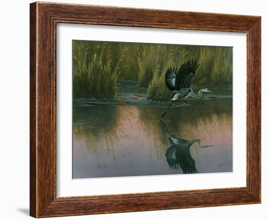 Evening Flight - Great Blue Heron-Wilhelm Goebel-Framed Giclee Print