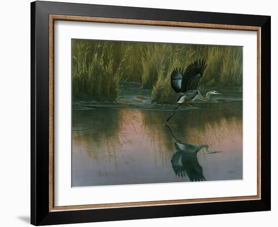 Evening Flight - Great Blue Heron-Wilhelm Goebel-Framed Giclee Print