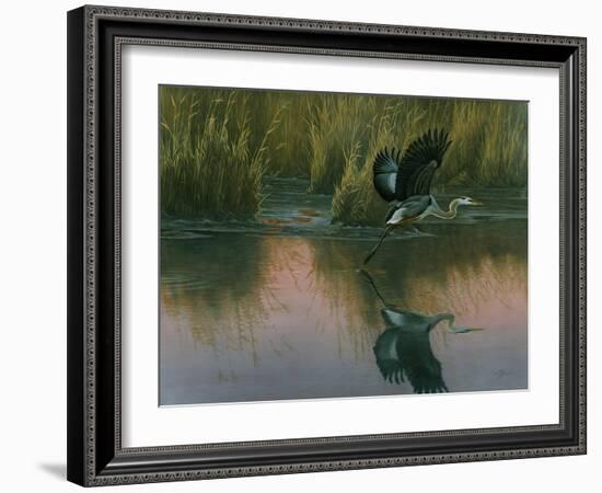 Evening Flight - Great Blue Heron-Wilhelm Goebel-Framed Giclee Print