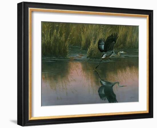 Evening Flight - Great Blue Heron-Wilhelm Goebel-Framed Giclee Print