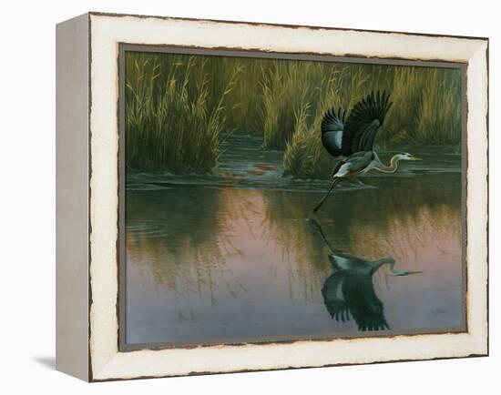 Evening Flight - Great Blue Heron-Wilhelm Goebel-Framed Premier Image Canvas