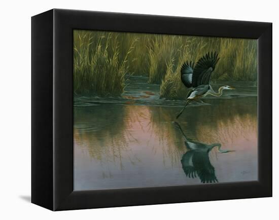 Evening Flight - Great Blue Heron-Wilhelm Goebel-Framed Premier Image Canvas