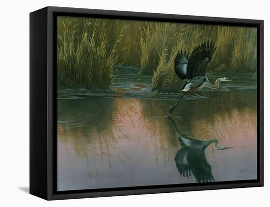 Evening Flight - Great Blue Heron-Wilhelm Goebel-Framed Premier Image Canvas