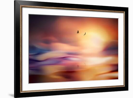 Evening Flight-Ursula Abresch-Framed Photographic Print