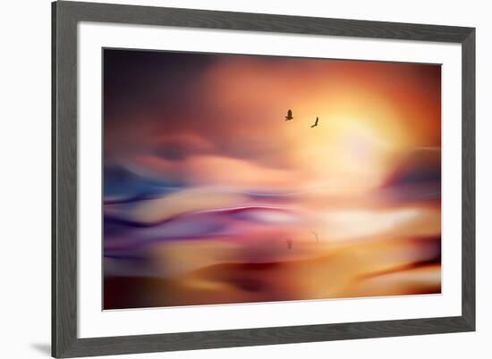 Evening Flight-Ursula Abresch-Framed Photographic Print