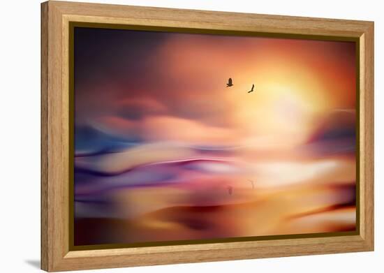 Evening Flight-Ursula Abresch-Framed Premier Image Canvas