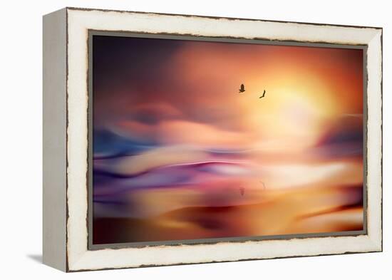 Evening Flight-Ursula Abresch-Framed Premier Image Canvas