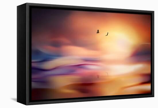 Evening Flight-Ursula Abresch-Framed Premier Image Canvas