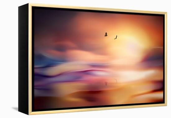 Evening Flight-Ursula Abresch-Framed Premier Image Canvas