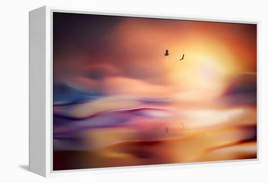 Evening Flight-Ursula Abresch-Framed Premier Image Canvas