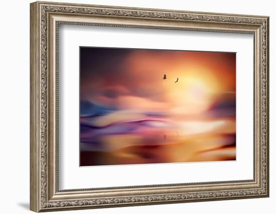 Evening Flight-Ursula Abresch-Framed Photographic Print