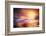 Evening Flight-Ursula Abresch-Framed Photographic Print