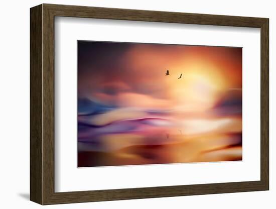 Evening Flight-Ursula Abresch-Framed Photographic Print