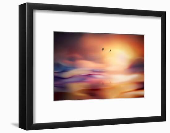 Evening Flight-Ursula Abresch-Framed Photographic Print