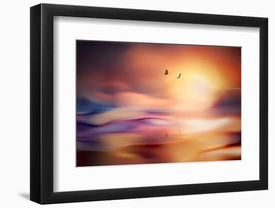 Evening Flight-Ursula Abresch-Framed Photographic Print