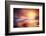 Evening Flight-Ursula Abresch-Framed Photographic Print