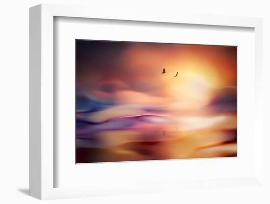 Evening Flight-Ursula Abresch-Framed Photographic Print