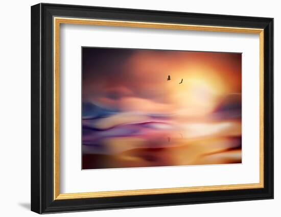 Evening Flight-Ursula Abresch-Framed Photographic Print