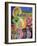 Evening Garden, 2004-Derek Balmer-Framed Giclee Print