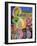 Evening Garden, 2004-Derek Balmer-Framed Giclee Print