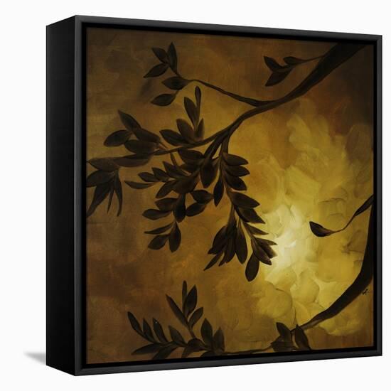 Evening Garden II-Kari Taylor-Framed Premier Image Canvas