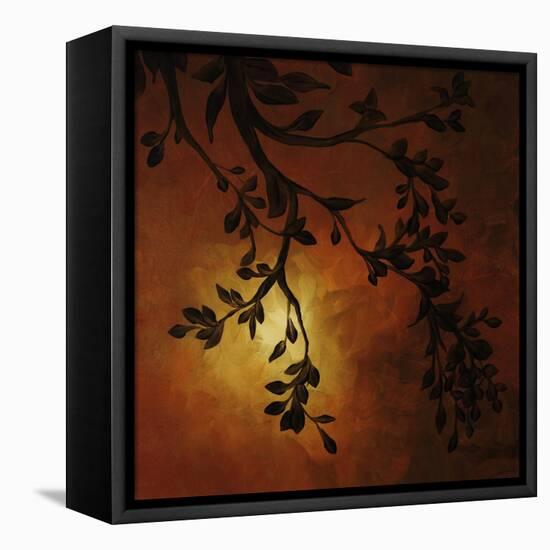 Evening Garden IV-Kari Taylor-Framed Premier Image Canvas