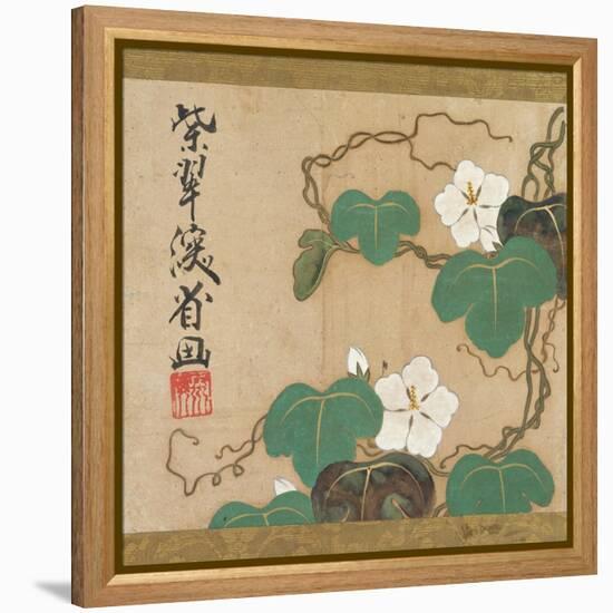 Evening Glories-Ogata Kenzan-Framed Premier Image Canvas