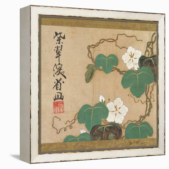 Evening Glories-Ogata Kenzan-Framed Premier Image Canvas