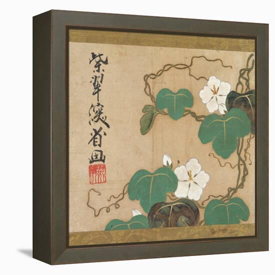 Evening Glories-Ogata Kenzan-Framed Premier Image Canvas