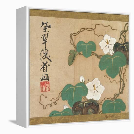 Evening Glories-Ogata Kenzan-Framed Premier Image Canvas