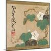 Evening Glories-Ogata Kenzan-Mounted Giclee Print