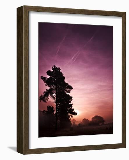 Evening Glory-Doug Chinnery-Framed Photographic Print