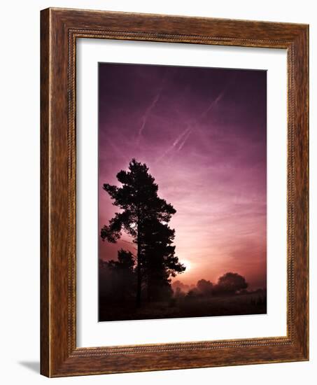 Evening Glory-Doug Chinnery-Framed Photographic Print