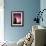 Evening Glory-Doug Chinnery-Framed Photographic Print displayed on a wall